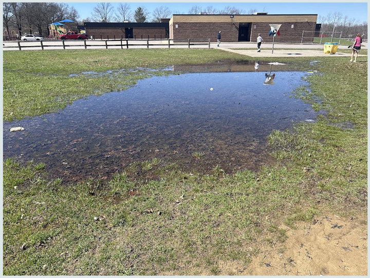 puddle 
